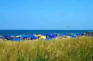 Rehoboth Beach