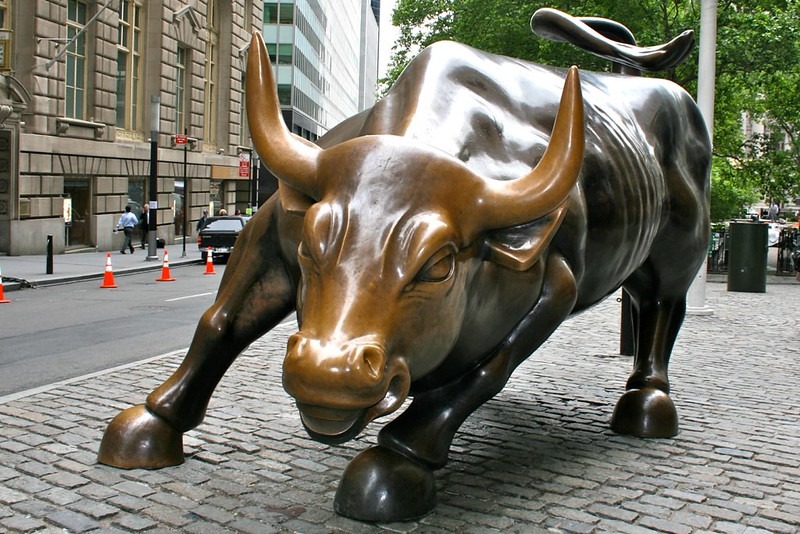 The bull statue that can be seen at Wall Street in New York City. It is seen facing the camera.